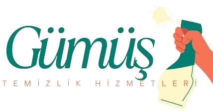 Gümüş Temizlik Hizmetleri